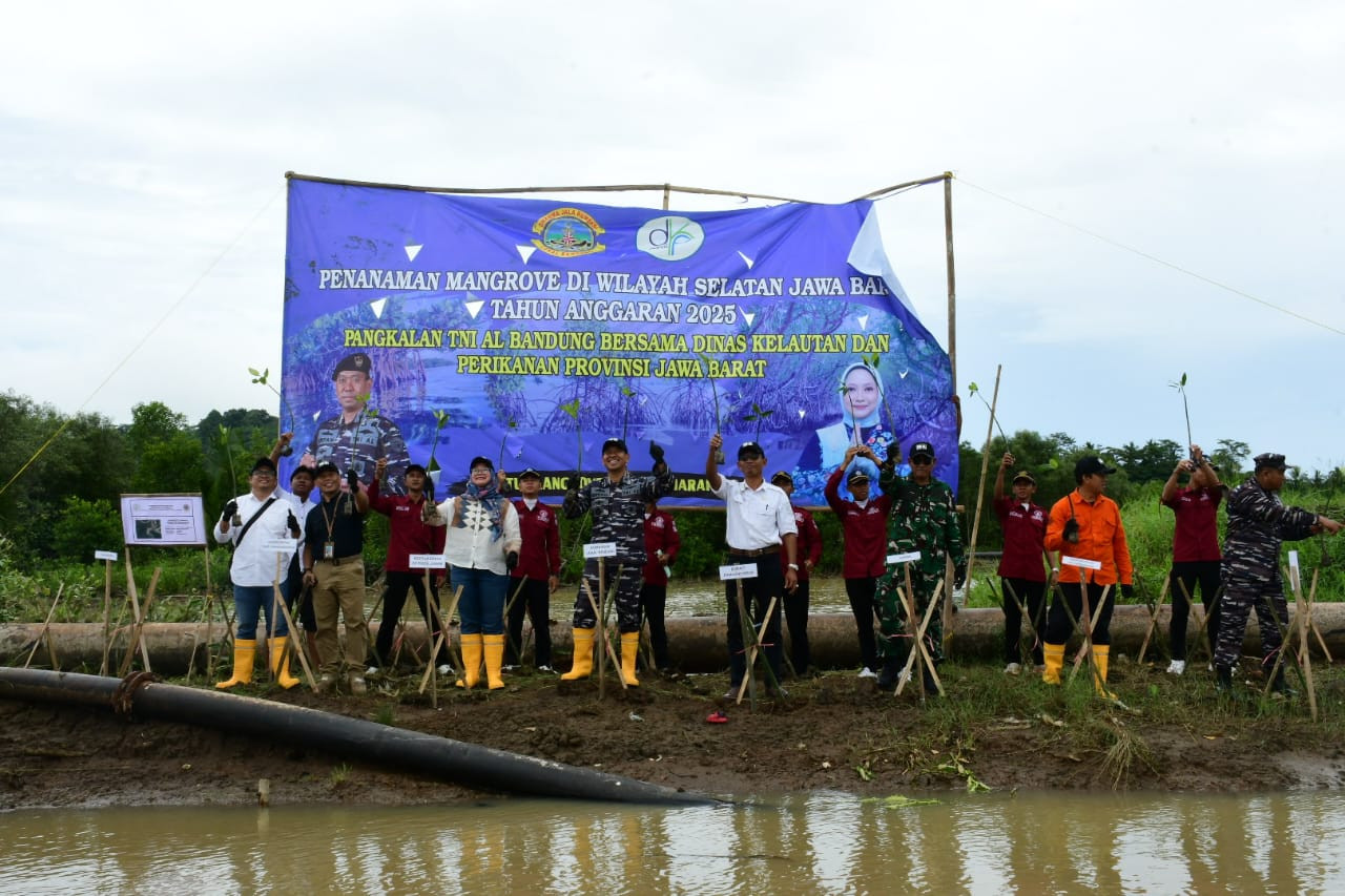 Pangkalan TNI AL Bandung Bersama Dinas Kelautan dan Perikanan Provinsi Jawa Barat Laksanakan Penanaman Bibit Mangrove di Wilayah Pesisir Selatan Jawa Barat Tahun Anggaran 2025