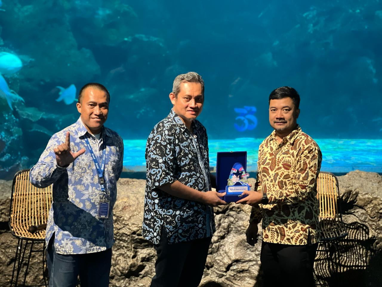 Sea World Ancol Genap 33 Tahun, Perkenalkan Hiu Berjalan Halmahera sebagai Biota Baru