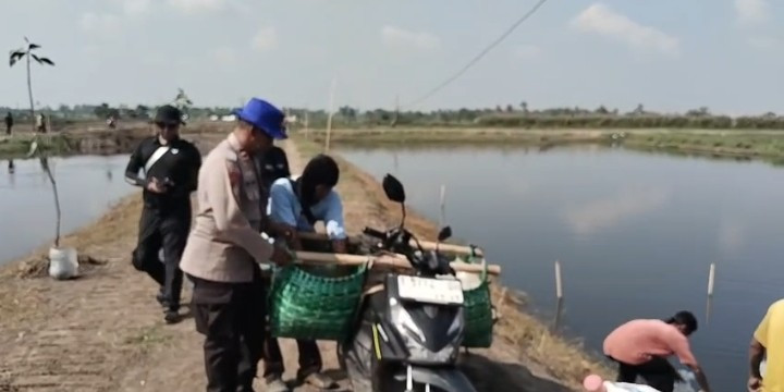Ditpolairud Polda Metro Jaya Tebar 300 Ribu Benih Udang Windu di Muaragembong Bekasi