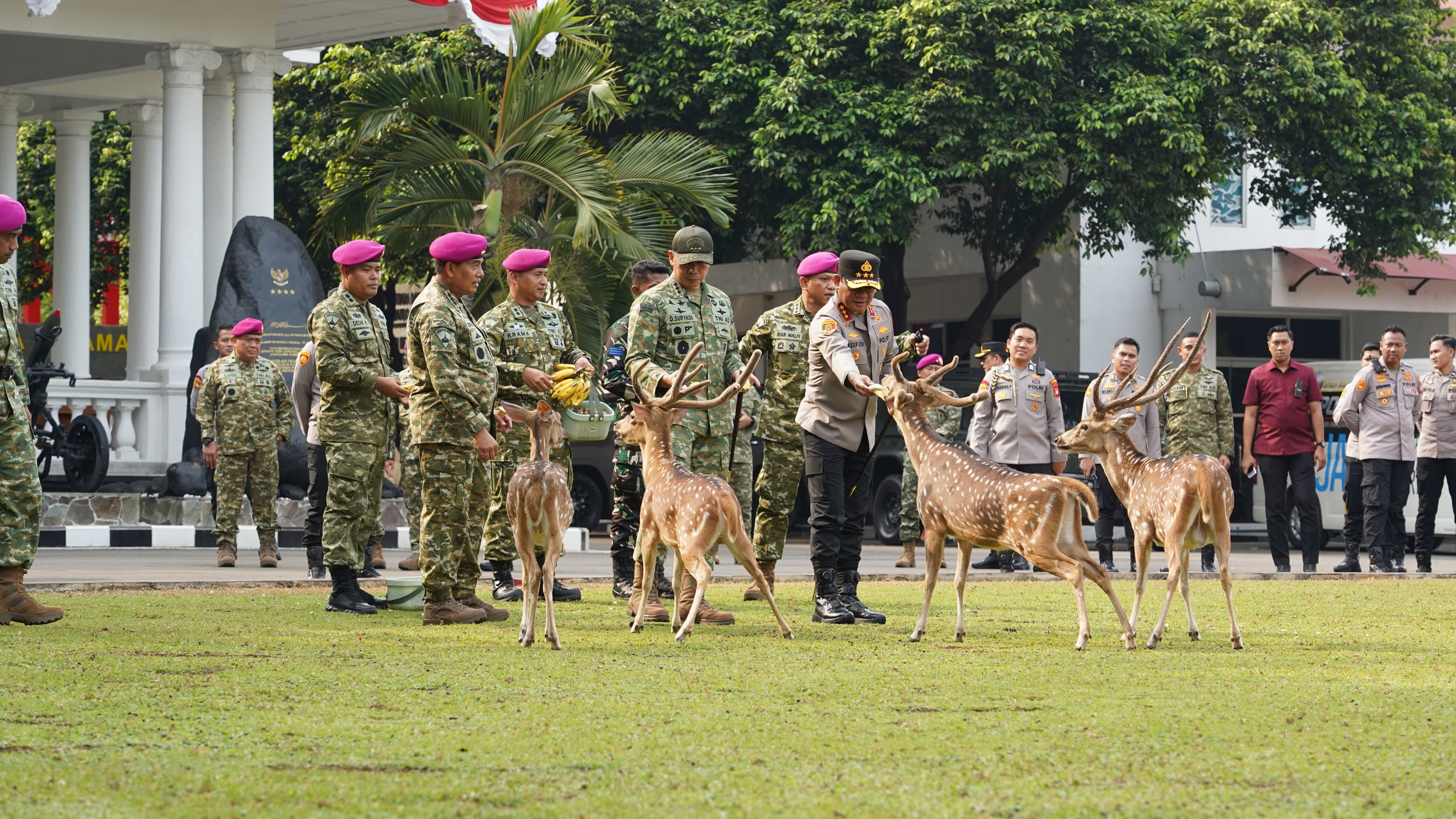 Perkuat Sinergi TNI- POLRI Kapolda Metro Jaya dan Pangdam Jaya Kunjungi Pangkormar