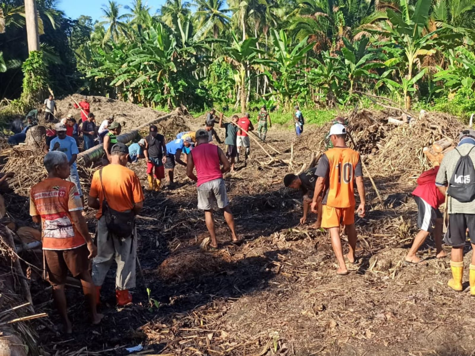 Satgas TMMD ke-126 Kodim 1505/Tidore Bersama Masyarakat Tanam Jagung di Lahan Ketahanan Pangan