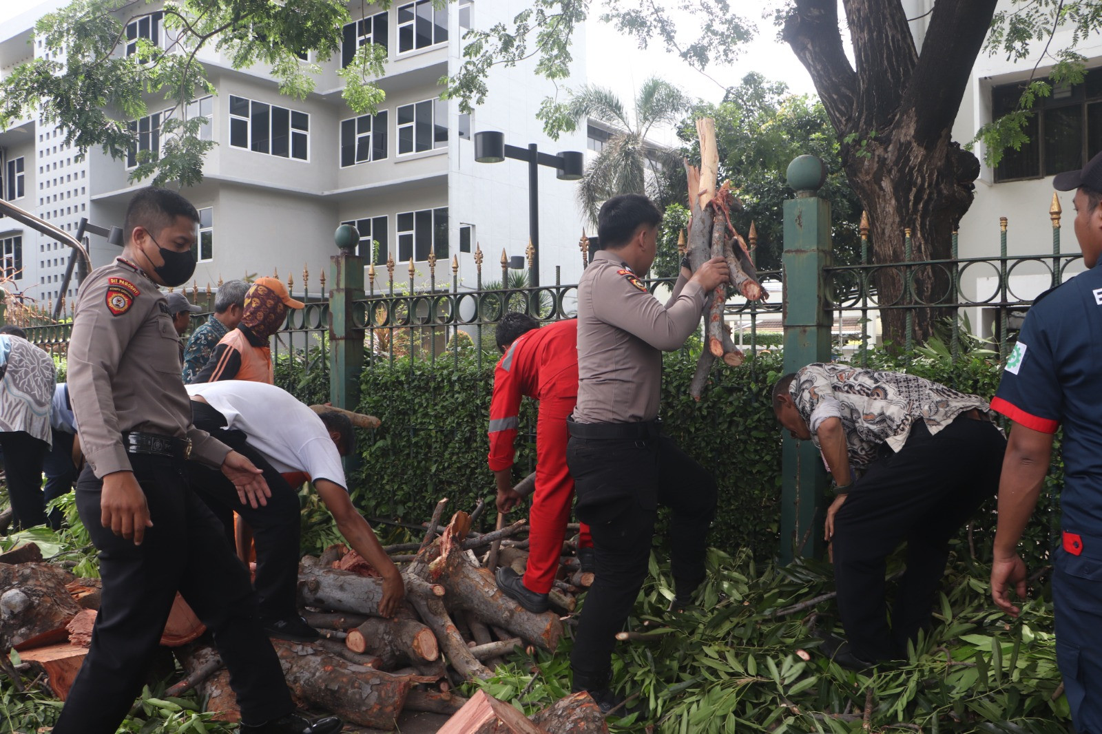 Ditpamobvit Polda Metro Jaya Gerak Cepat Evakuasi Pohon Tumbang Dekat Stasiun MRT Jakarta