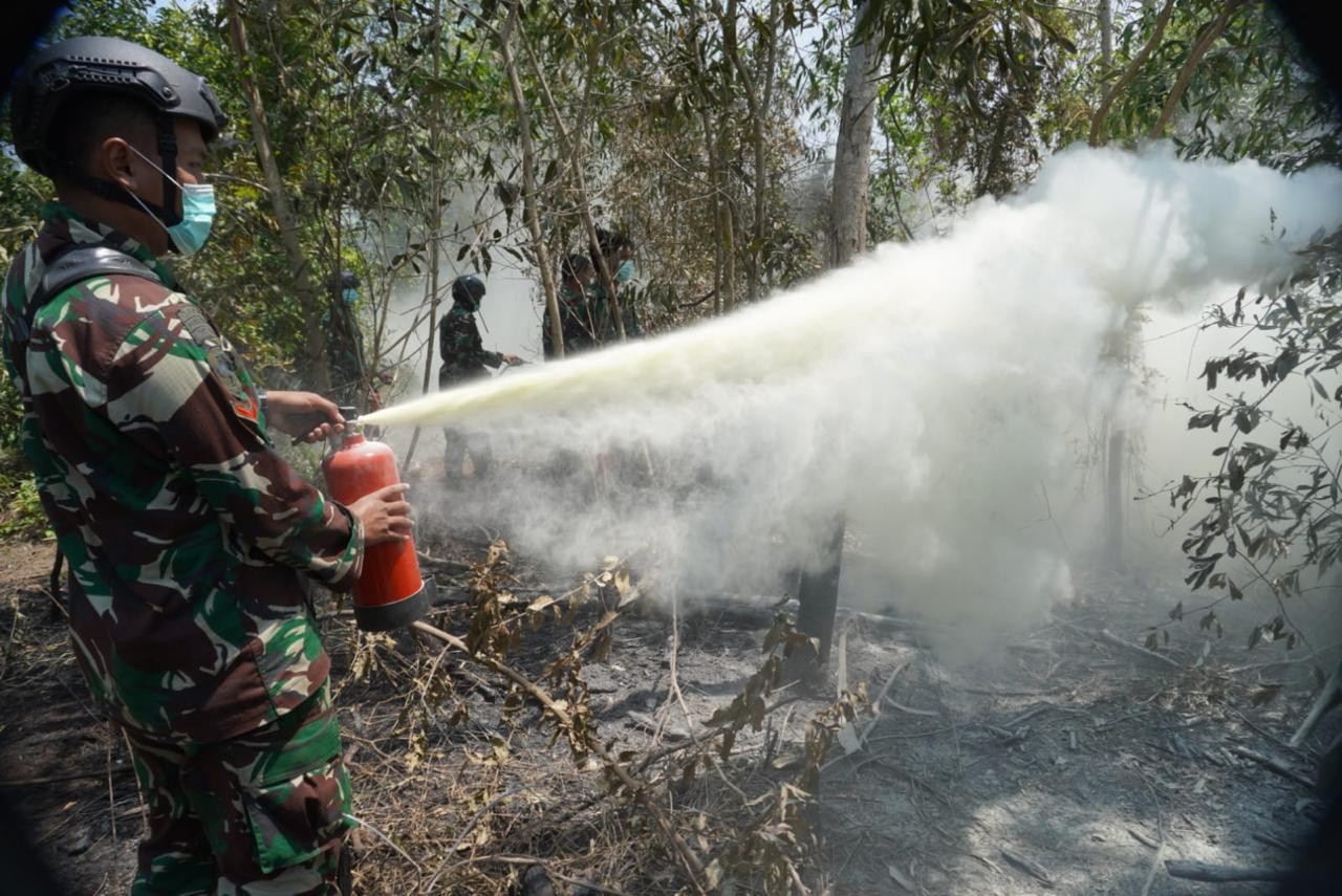 TNI Percepat Penanganan Karhutla Way Kambas, Tim Alfa Diterjunkan dari Udara