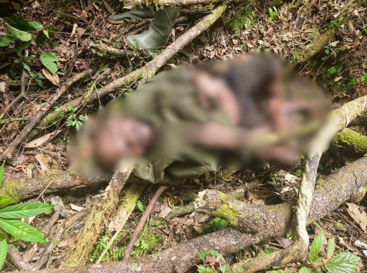 Senjata Api dan Munisi Diamankan dari Kelompok OPM Kodap Sorong Raya dalam Patroli Keamanan Koops TNI Habema di Maybrat