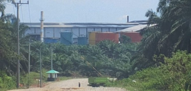 Upaya Pembungkaman Pers Diduga Dilakukan Kades Bukit Makmur