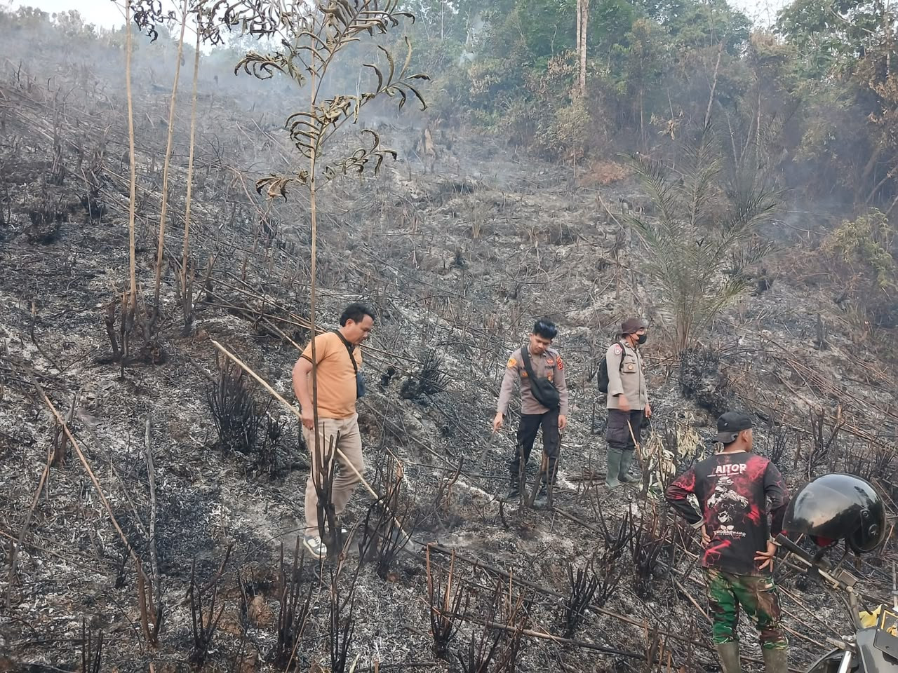 Polda Jambi Tangani Karhutla Seluas 5 Hektare di Areal PT Jebus Maju Merangin