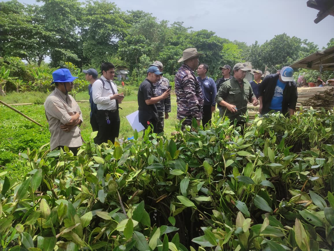 Lanal Bandung bersama Dinas Kelautan dan Perikanan Provinsi Jawa Barat Laksanakan Penanaman Mangrove di Wilayah Pesisir Pantai Selatan Jawa Barat