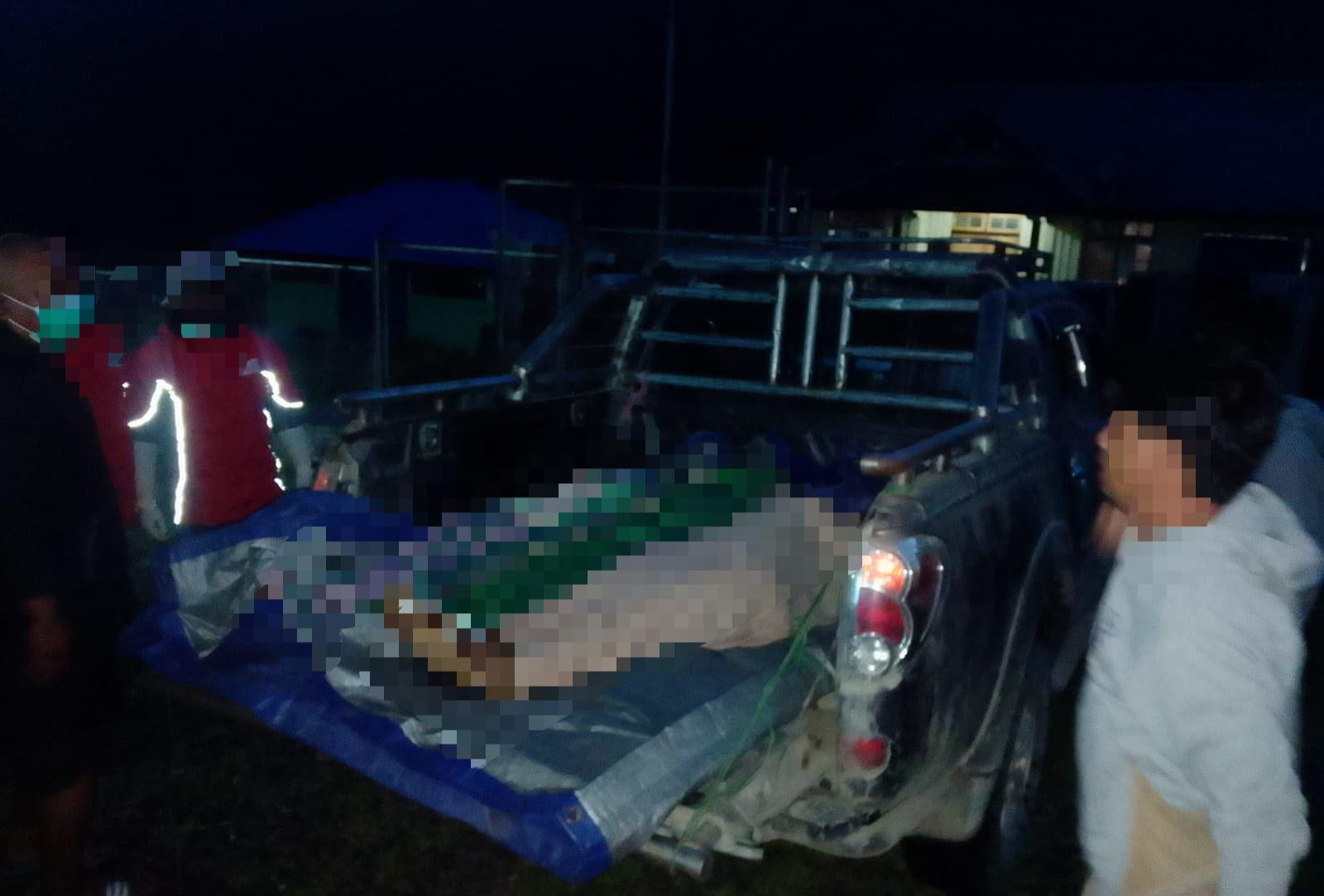 Respons Cepat Satgas Kepolisian Operasi Damai Cartenz-2026 Evakuasi Korban Pekerja Jalan di Tolikara, Penyelidikan Untensif Dilakukan