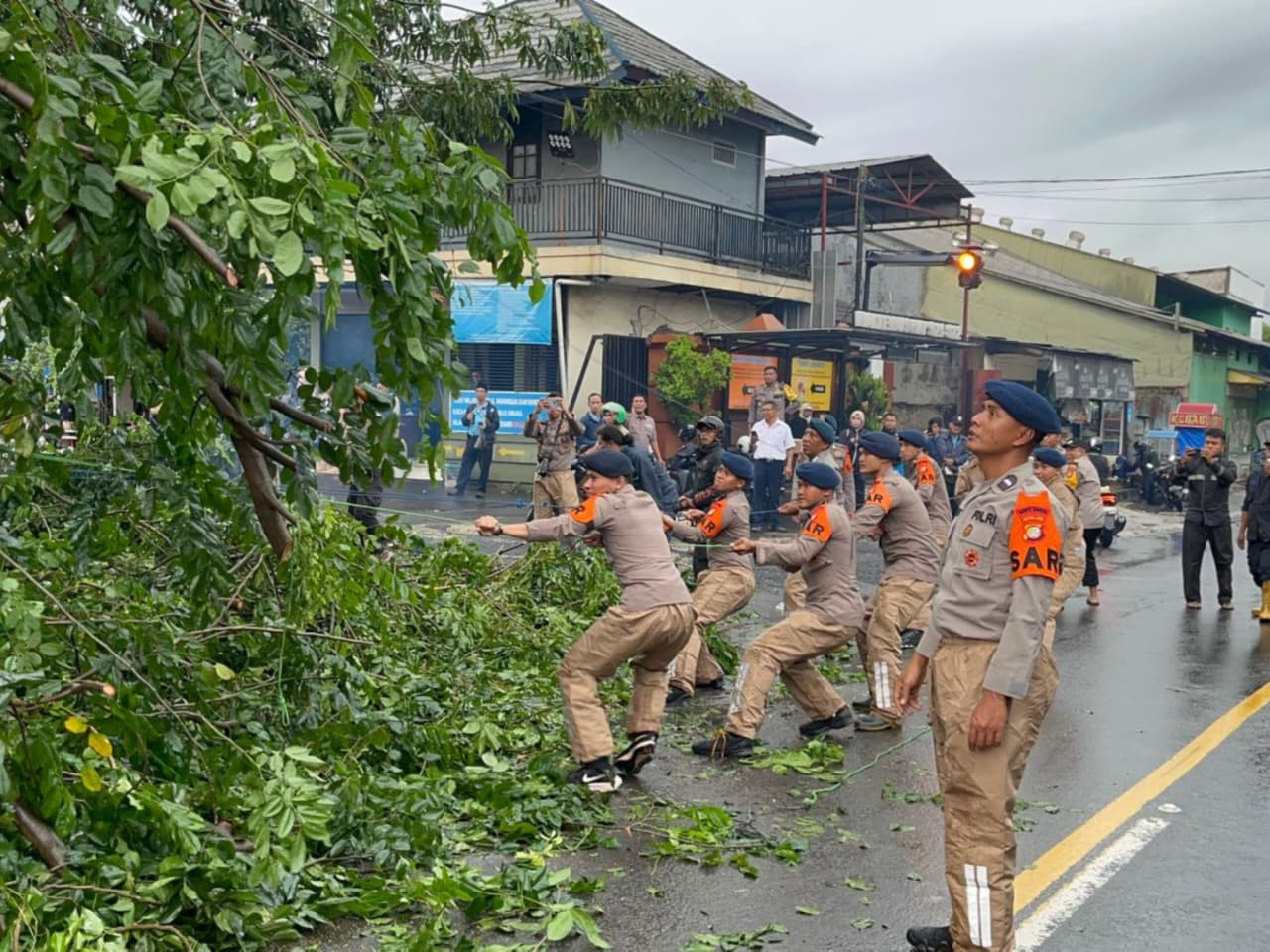 Sigap Brimob Metro Jaya Tangani Pohon Tumbang di Ciputat