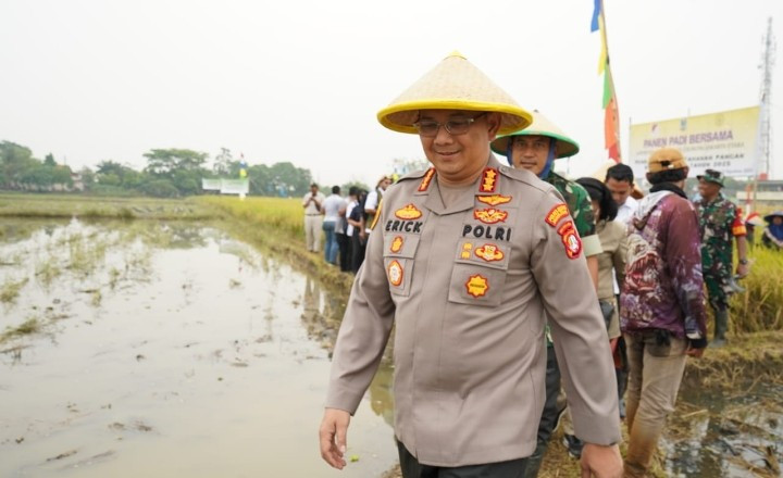 Panen Padi Bersama di Rorotan, TNI–Polri dan Forkopimko Perkuat Ketahanan Pangan Jakarta Utara