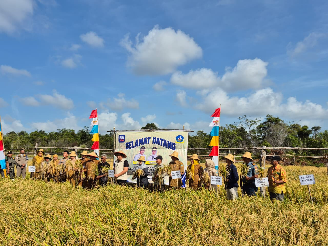 Lanal Bintan Dukung Ketahanan Pangan Melalui Kegiatan Panen Perdana Padi Gogo, Perkuat Sinergi TNI–Masyarakat