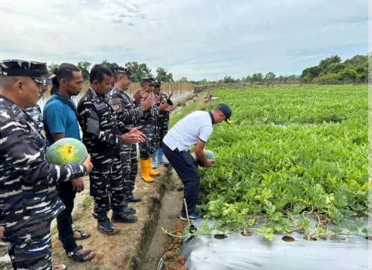 Sinergi TNI AL dan Petani, Danlanal Bengkulu Pimpin Giat Penanaman dan Panen di Lahan Ketahanan Pangan