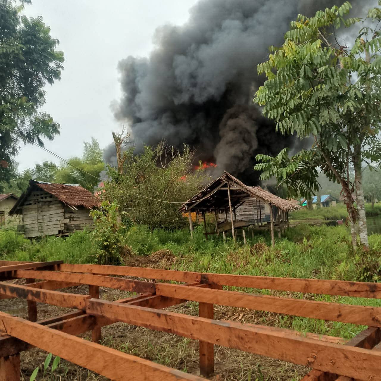 KKB Tembak Warga Sipil di Asmat, Rumah Dibakar