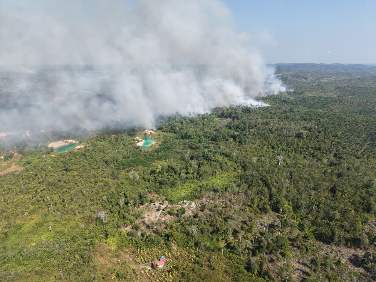 Respons Cepat Karhutla Dekat IKN, TNI Gerakkan Helikopter Caracal untuk _Water Bombing