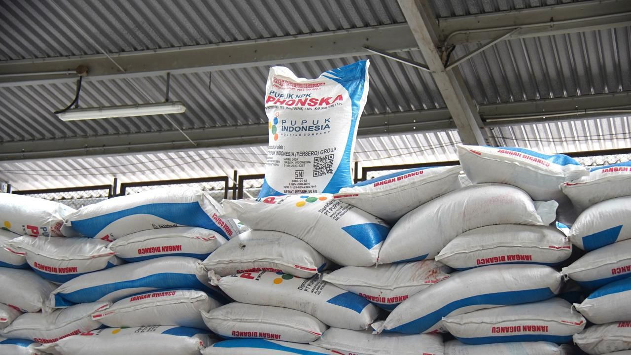 Di Tengah Krisis Pupuk Global, Prabowo Justru Pangkas Harga 20% untuk Petani