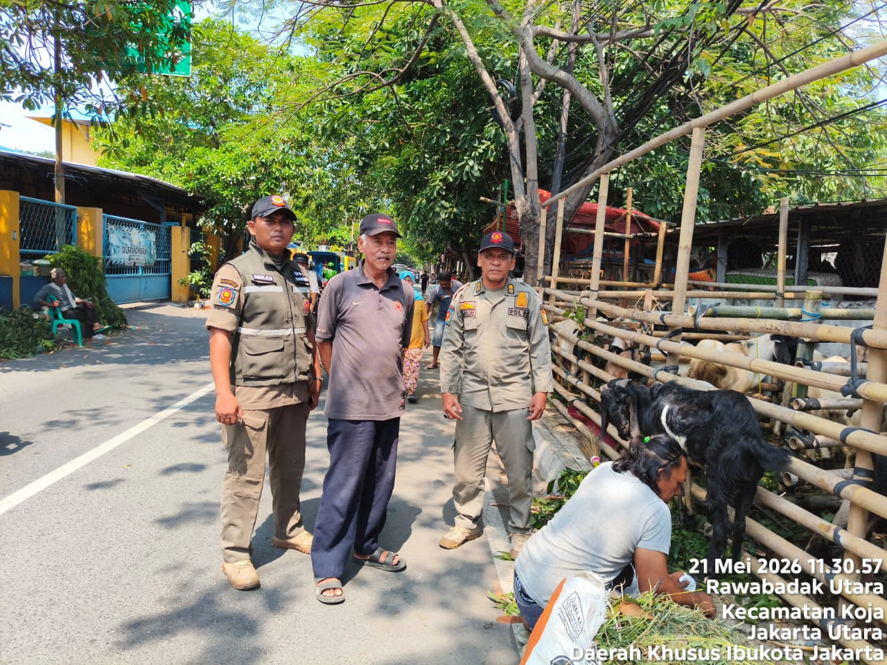 Jelang Idul Adha, Satpol PP Koja Tertibkan Pedagang Hewan Kurban di Atas Trotoar