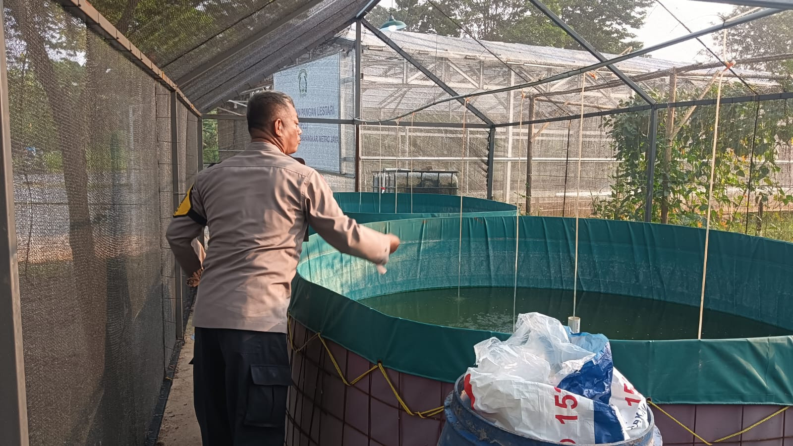 Bhabinkamtibmas Padurenan Tebar Pakan Lele, Dukung Program Ketahanan Pangan Polres Metro Bekasi Kota